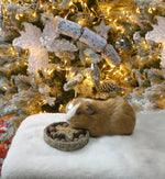 Rosewood Naturals Star Truffles Forage Tray 100g
