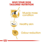 Royal Canin French Bulldog Adult benefits: muscle mass condition, healthy skin, odour reduction