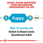 Royal Canin Dachshund Puppy from 2 to 10 months, then switch to Dachshund Adult