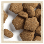 beat light kibbles
