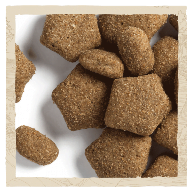 beat light kibbles