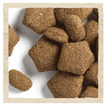 Purina Beta Light Turkey dry dog food kibbles close up