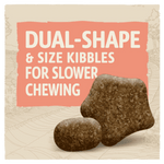 Beta Sensitive Salmon dual shape and size kibbles for slower chewing