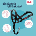 Halti Head Collar Black