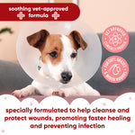 Dog in a cone: Buddycare wound spray helps cleanse and protect wounds