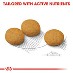Three brown pet treats
