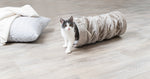 cat playing tunnel