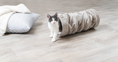 cat playing tunnel