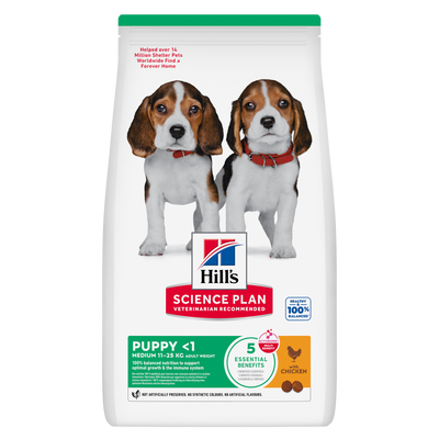Hill's Science Plan Medium Puppy dry dog food with Chicken, front of bag