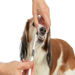 Three headed Toothbrush for Dogs
