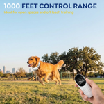 Dog running in a park while owner uses the PawGuard T200 remote, 1000 feet control range