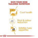 Royal Canin Maltese Adult benefits: coat health, stool and odour reduction, satisfies fussy appetites