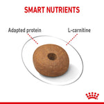 Royal Canin Medium Light Weight Care kibble with adapted protein and L-carnitine