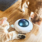 PawGuard CT021 cat toy smart obstacle avoidance