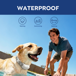 Labrador wearing the PawGuard T200 waterproof collar in a swimming pool