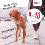 Halti No Pull Dog Harness