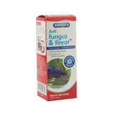 Interpet No.8 Anti Fungus and Finrot 100ml