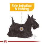Royal Canin Dermacomfort for dogs prone to skin irritation and itching