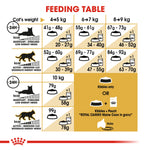 Royal Canin Maine Coon Adult feeding table by cat weight and activity