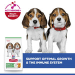 Hill's Science Plan Medium Puppy with ActivBiome+ Multi Benefit to support optimal growth and the immune system