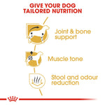 Royal Canin Dachshund Adult benefits: joint and bone support, muscle tone, stool and odour reduction