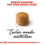 Royal Canin Maine Coon Adult king size kibble designed for the Maine Coon jaw