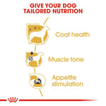 tailored nutrition benefits a dog's coat health, muscle tone, and appetite stimulation