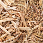 Close up of the natural barley straw used in NT Labs barley straw pouches