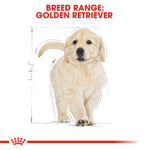Royal Canin breed range: Golden Retriever puppy