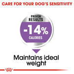 Royal Canin Maxi Sterilised dry dog food: proven results, 14% fewer calories to help maintain ideal weight