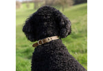 Ancol Timberwolf Leather Collar Sable