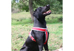 Ancol Viva Padded Harness Red