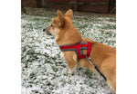 Ancol Viva Padded Harness Red