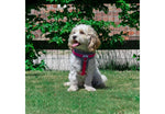 Ancol Viva Padded Harness Pink