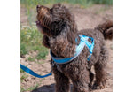 Ancol Viva Padded Harness Blue