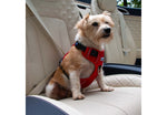 Ancol Viva Exercise & Travel Harness Red