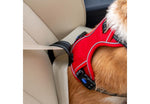 Ancol Viva Exercise & Travel Harness Red