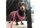 Ancol Viva Comfort Harness Pink