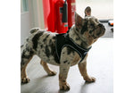 Ancol Viva Step-in Harness Black
