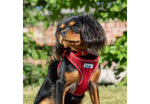 Ancol Viva Step-in Harness Red