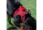 Ancol Viva Step-in Harness Red