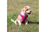 Ancol Viva Step-in Harness Pink