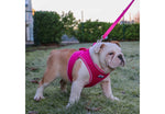 Ancol Viva Step-in Harness Pink