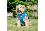 Ancol Viva Step-in Harness Blue