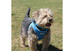 Ancol Viva Step-in Harness Blue