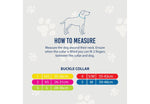 Ancol Viva Nylon Dog Collar Pink