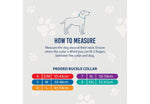 Ancol Viva Padded Dog Collar Pink