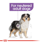 Royal Canin Medium Sterilised graphic: for neutered adult dogs