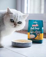 Rosewood Cat Soup Chick & Cranberry 40g x4