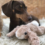 Small Dog and Puppy Plush Rabbit Toy - Valuepet.ie